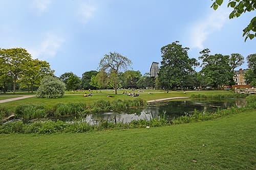 Our Area
